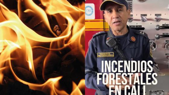 Incendios forestales cali invasión