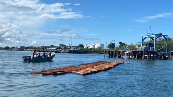 madera litoral pacifico 