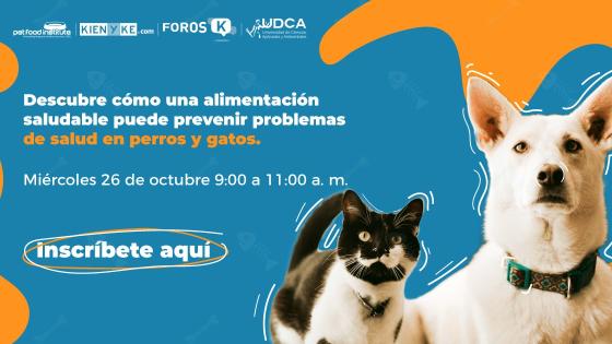 Foro 'MasCoscientes: tendencias en la alimentación de las mascotas'.