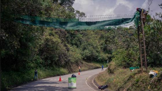 paso elevado area metropolitana Cornare