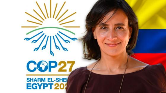 COP27