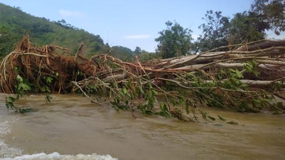 El Bagre Antioquia noticias Colombia 