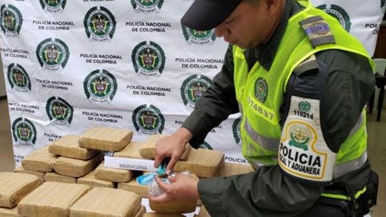 Incautan 533 kilos de marihuana