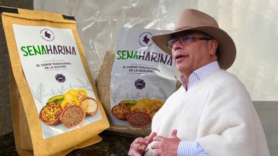 SenaHarina, el alimento que busca combatir la desnutrición en La Guajira