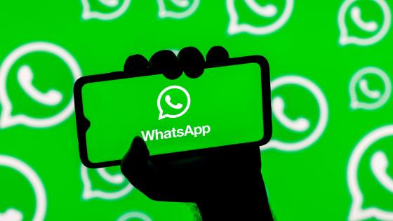 WhatsApp: La aplicación de mensajería instantánea creo una nueva opción que permite publicar audios a través de los estados.