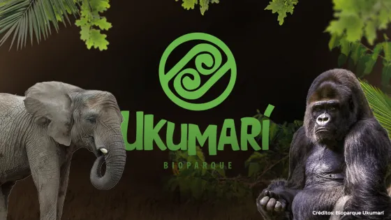 Gerente Bioparque Ukumari 