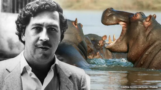 hipopotamos Pablo Escobar Antioquia 
