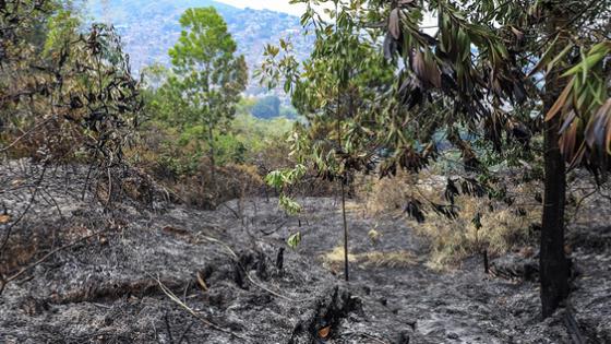 incendio cerro la bandera Cali 