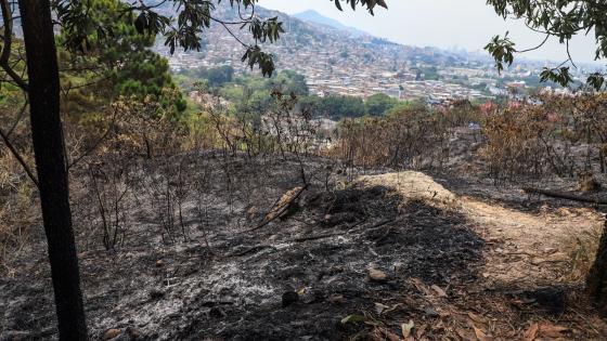 incendio cerro la bandera Cali incendio cerro la bandera Cali