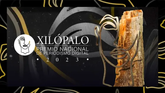 La historia detrás del Xilópalo - Premio Nacional de Periodismo Digital