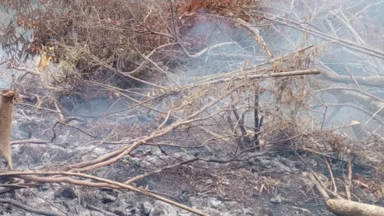 Grave incendio forestal afecta a Ecuador en la frontera con Colombia