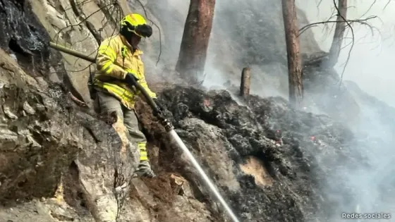 @BomberosBogota