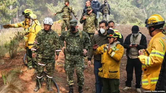 Incendios forestales registraron un importante descenso