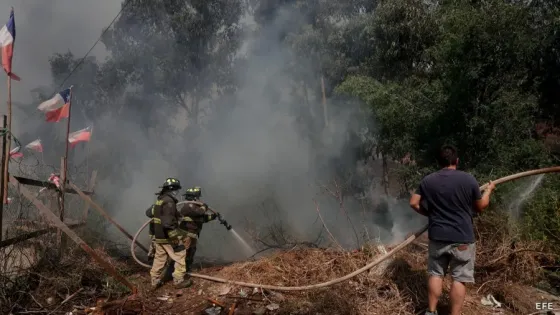 Emergencia en Chile: van 51 muertos a causa de una ola de incendios forestales