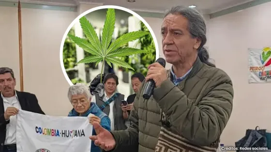 ¿En qué va la delimitación de espacio para el consumo de marihuana en Bogotá?