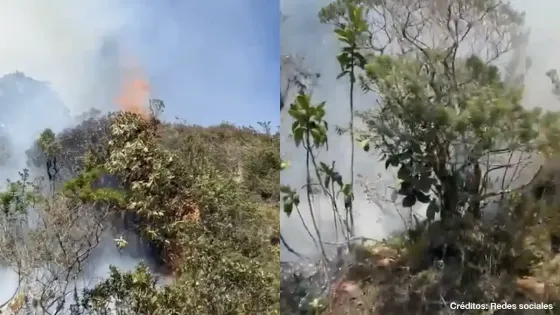 What is known about the new fire south of Bogotá