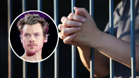 ¿Mujer se fue presa por acosar a Harry Styles?