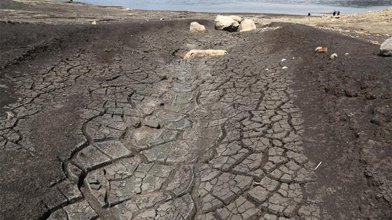 Así lucen los embalses que abastecen de agua a Bogotá Así lucen los embalses que abastecen de agua a Bogotá