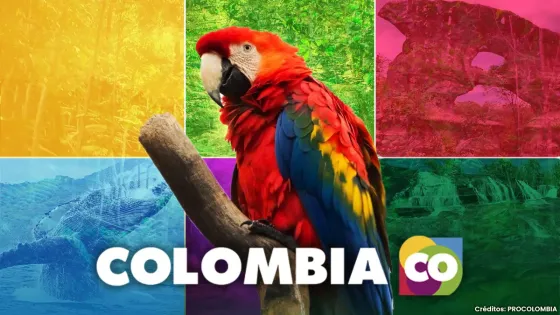 Colombia: the country of beauty, awakens the senses of the entire world