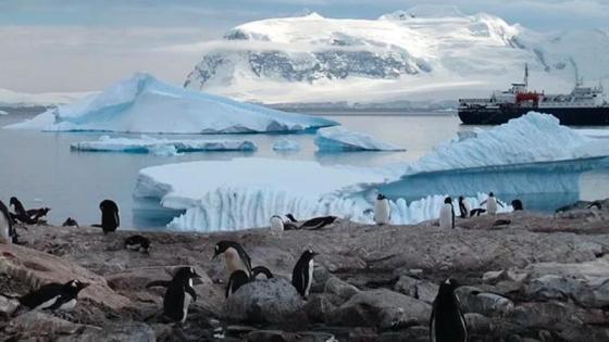 Antártica