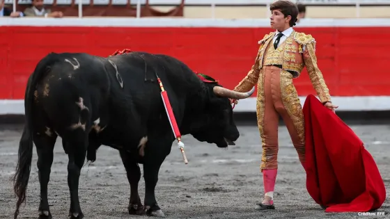 Corridas de toros