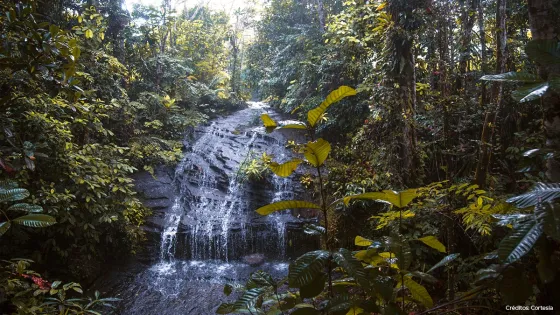 cascada