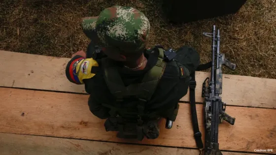 disicencias-farc