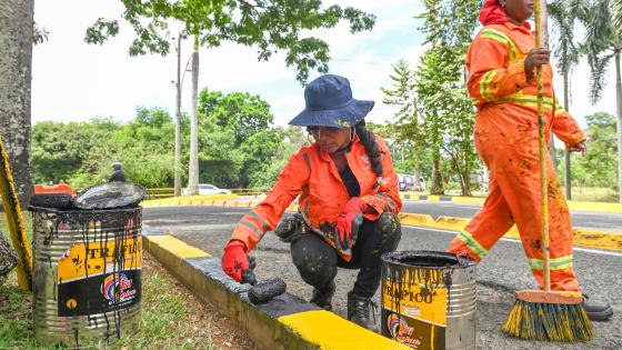 Durante una jornada de formación técnica, las mujeres reciben conocimientos que las empoderan y las proyectan a nuevas oportunidades laborales. Durante una jornada de formación técnica, las mujeres reciben conocimientos que las empoderan y las proyectan a nuevas oportunidades laborales.
