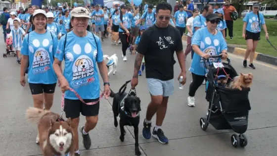 caminata-perritos-cali