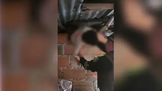 niños-amarrados-medellin