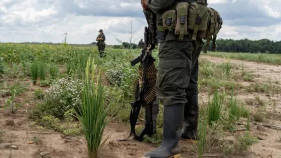 FIP: grupos armados crecieron 23,5% y superan 27.000