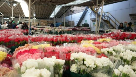 Colombia exportará 900 millones de flores en San Valentín