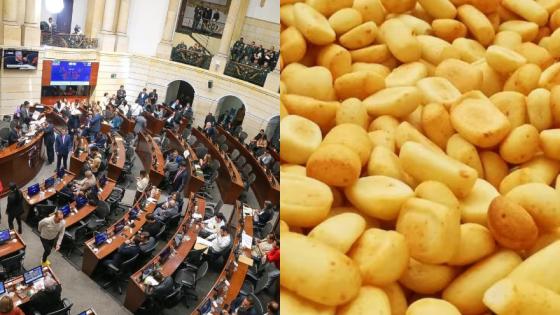 Proyecto de ley en el Senado sobre las achiras.