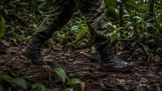 Grupos armados Colombia