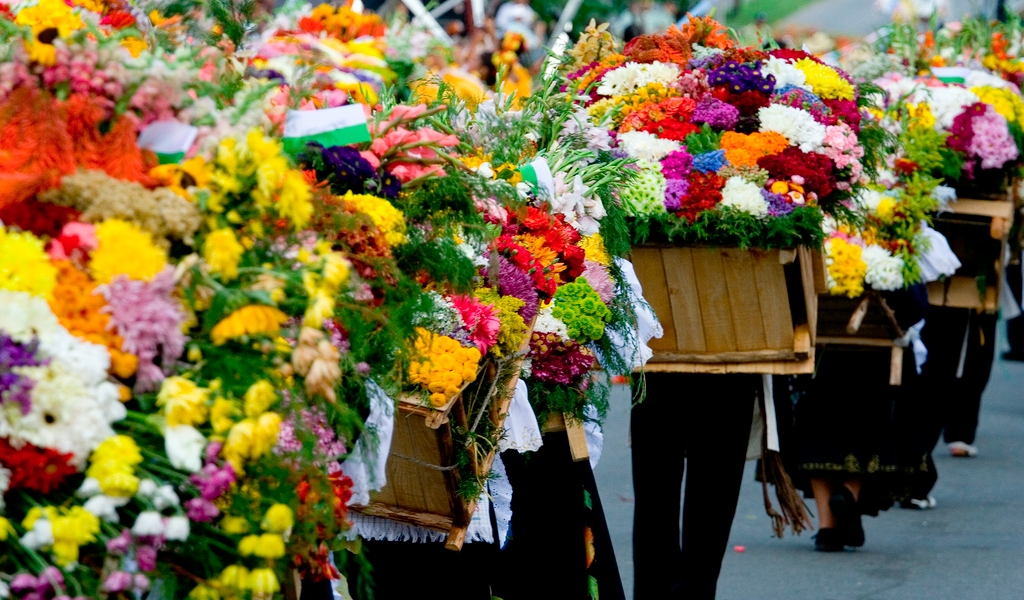 Gobierno aumentó inversión en comercialización de flores