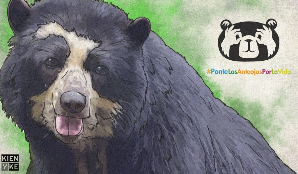 Razones para celebrar la vida del oso de anteojos