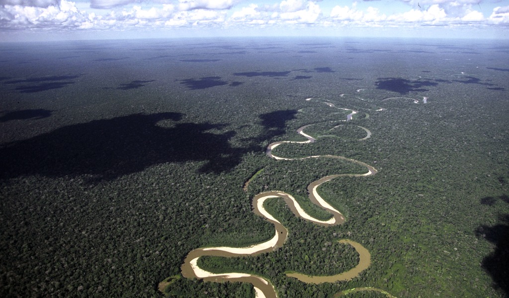 25% de las especies del Amazonas podría desaparecer