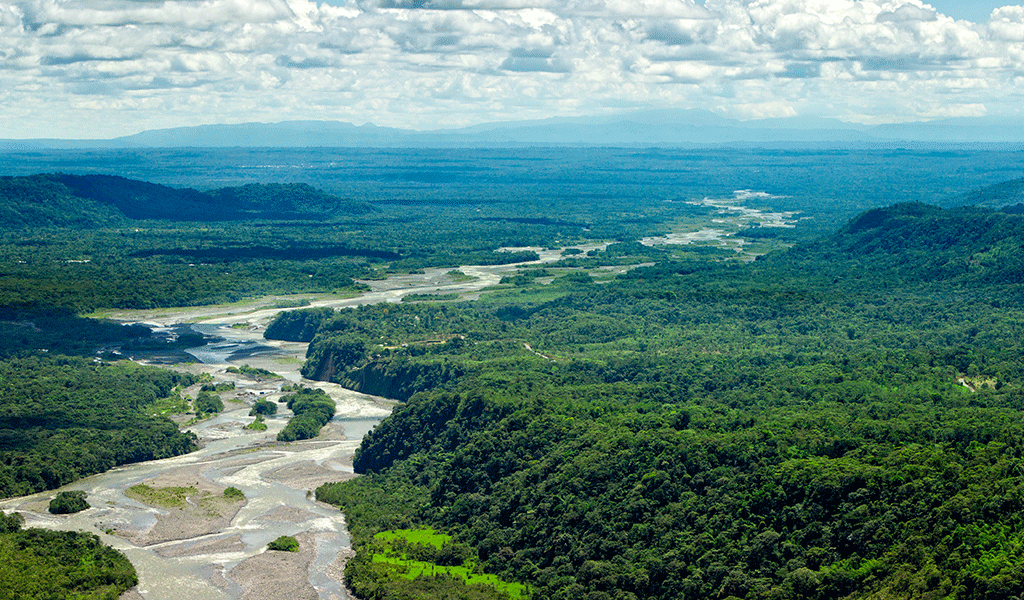 Cinco prioridades para salvar la Amazonía