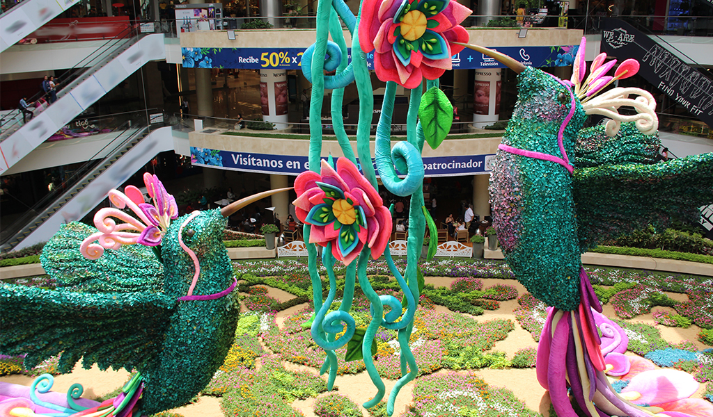 Un atractivo mundial en la Feria de las Flores