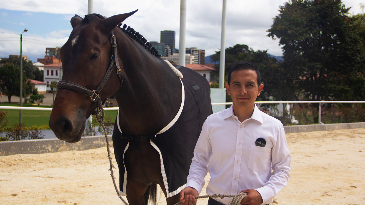 Así es el negocio de los caballos en Colombia