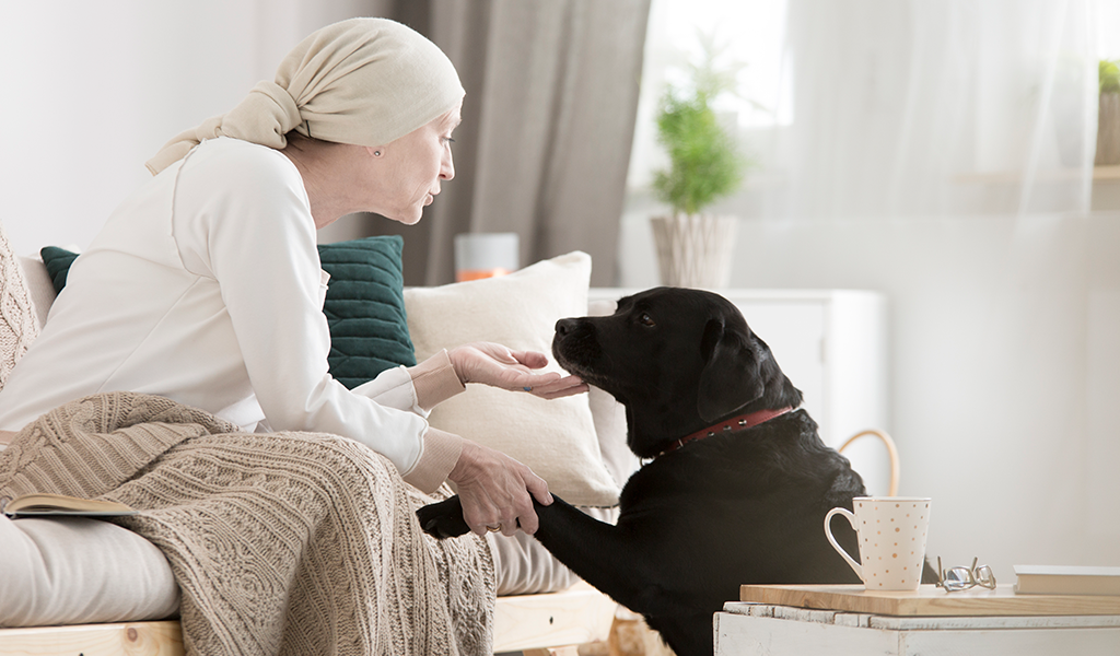 ¿Los perros pueden detectar el cáncer?