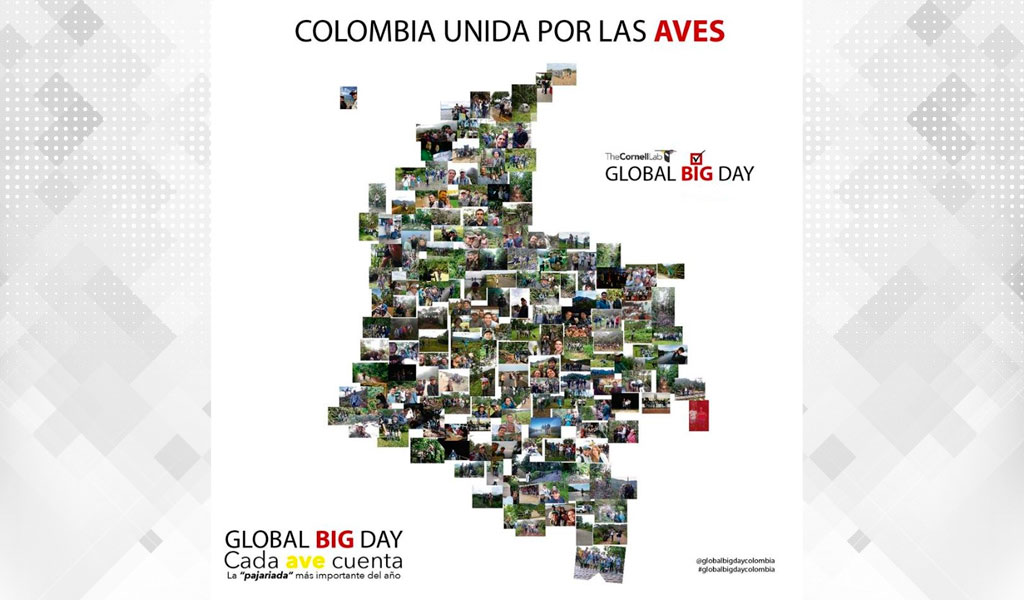 Colombia quiere ser ganador en el 'Global Big Day'