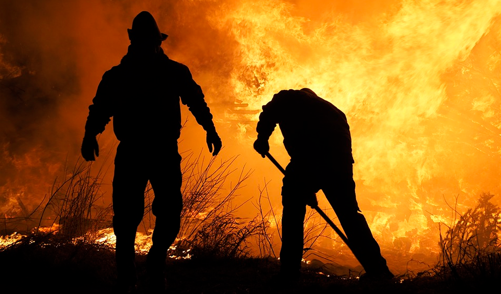 Consecuencias de los incendios forestales en Rusia