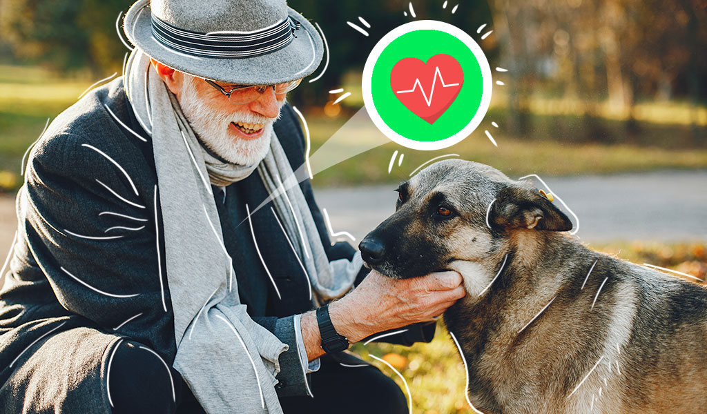 ¿Cómo una mascota mejora la vida de los adultos mayores?
