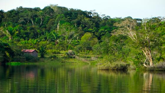extracción de hidrocarburos en la Amazonía