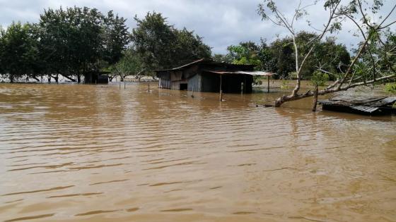 Confirman 5 muertos por lluvias asociadas a tormenta Eta en Panamá