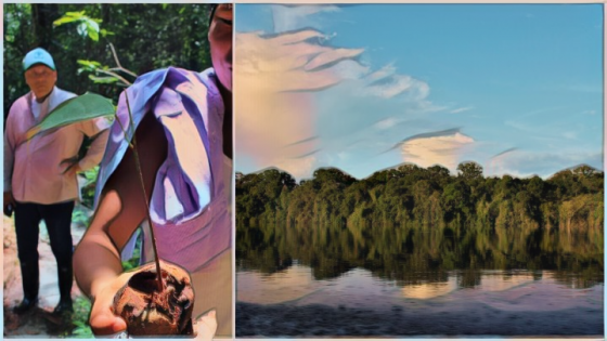 Saving The Amazon: 8 años luchando por el Amazonas