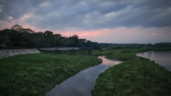 Los tesoros que esconde la biodiversa puerta de la Amazonía colombiana