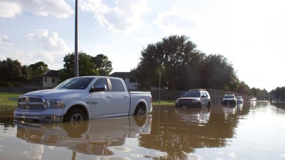 ¿Qué se debe hacer cuando se inunda un carro?