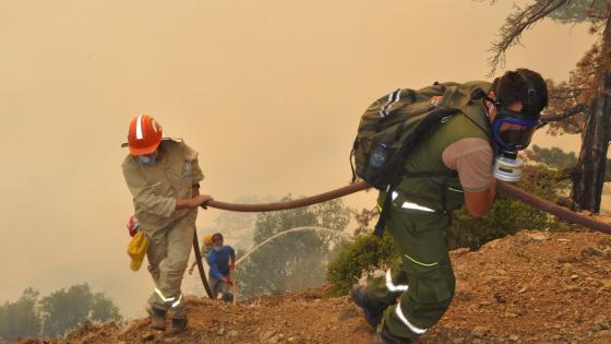 Incendios forestales en Turquía. 